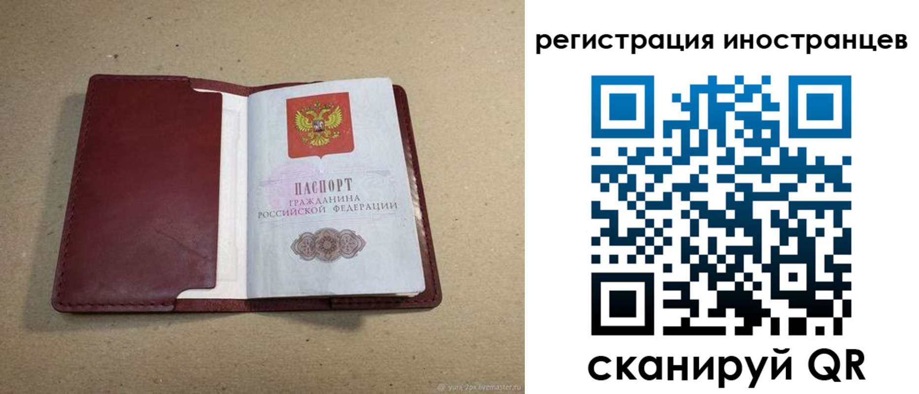 регистрация для школы в Кольчугино